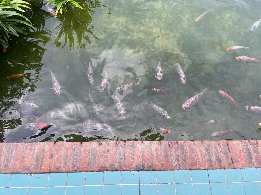 潘达努斯度假酒店主图
