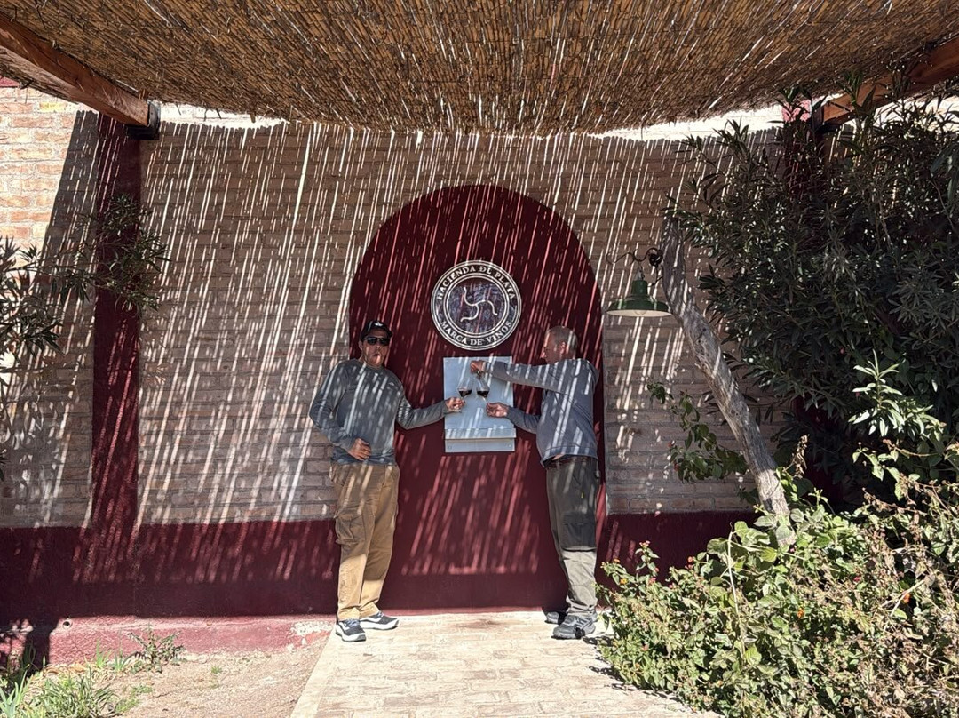 Bodega Hacienda del Plata-路冉得库约必去景点