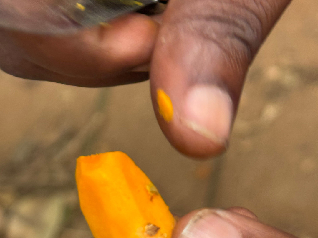 Tangawizi Spice Farm-石头城必去景点