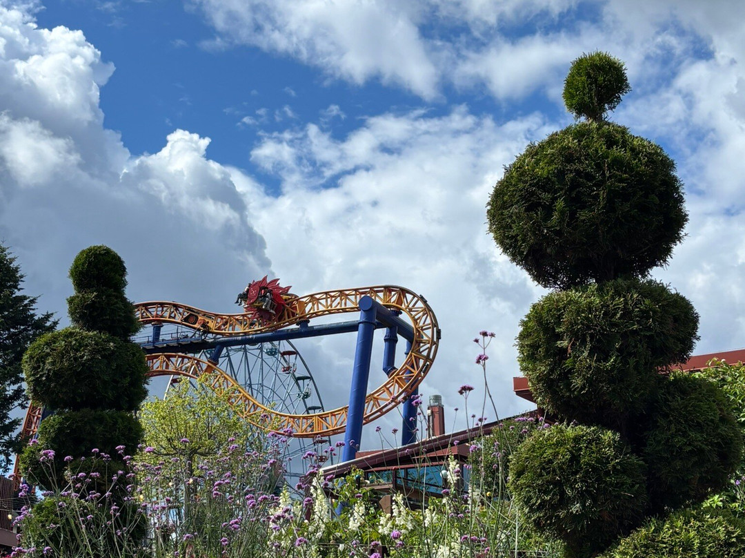 Linnanmäki Amusement Park-赫尔辛基必去景点