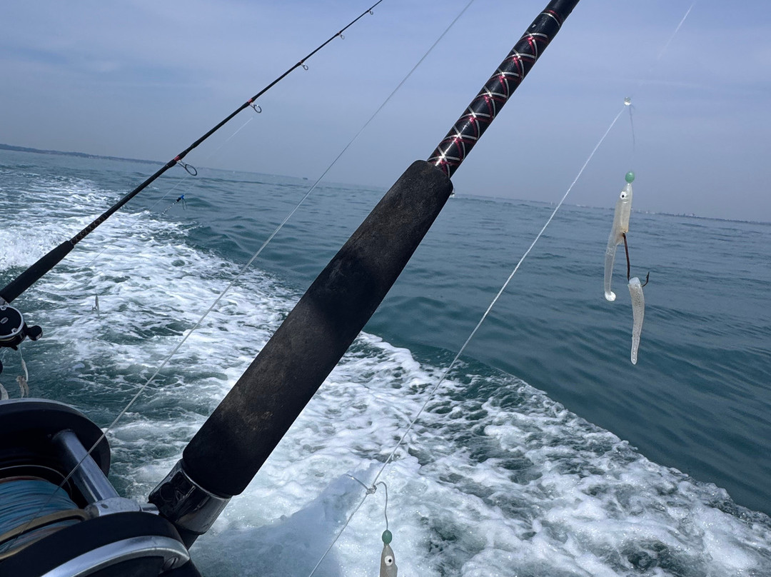 Sussex Sea Charters-West Itchenor必去景点