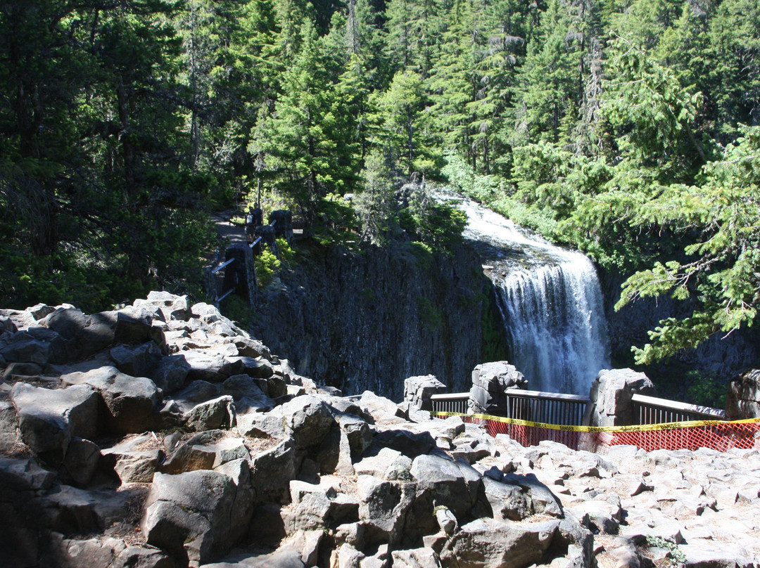 Salt Creek Falls-Oakridge必去景点