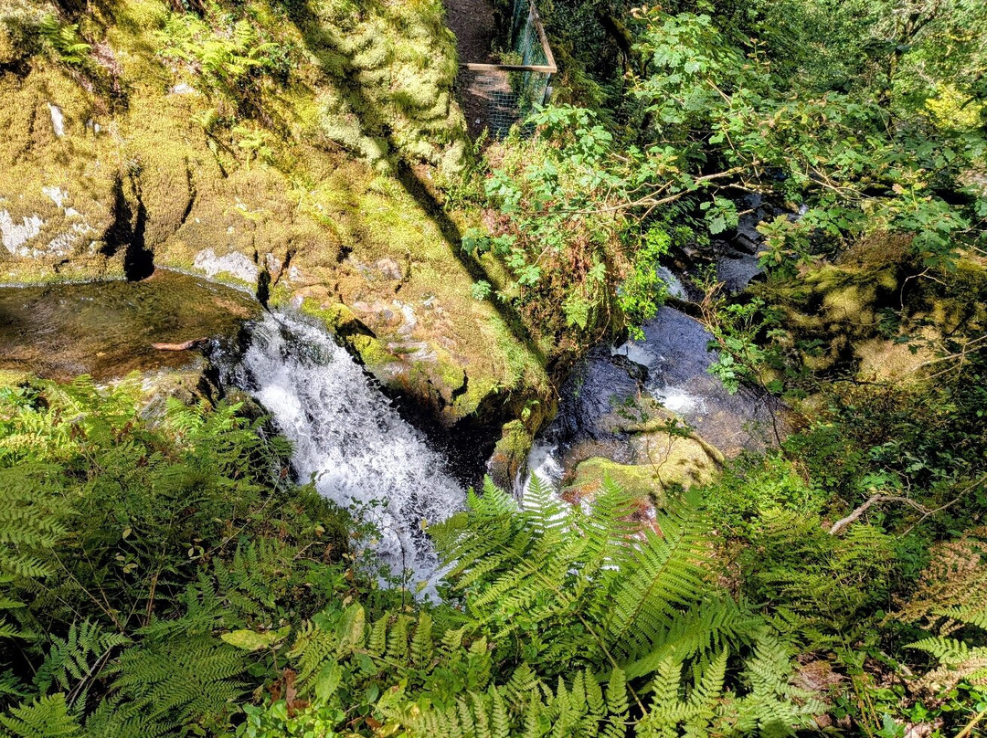 Dolgoch Falls-雪墩国家公园必去景点