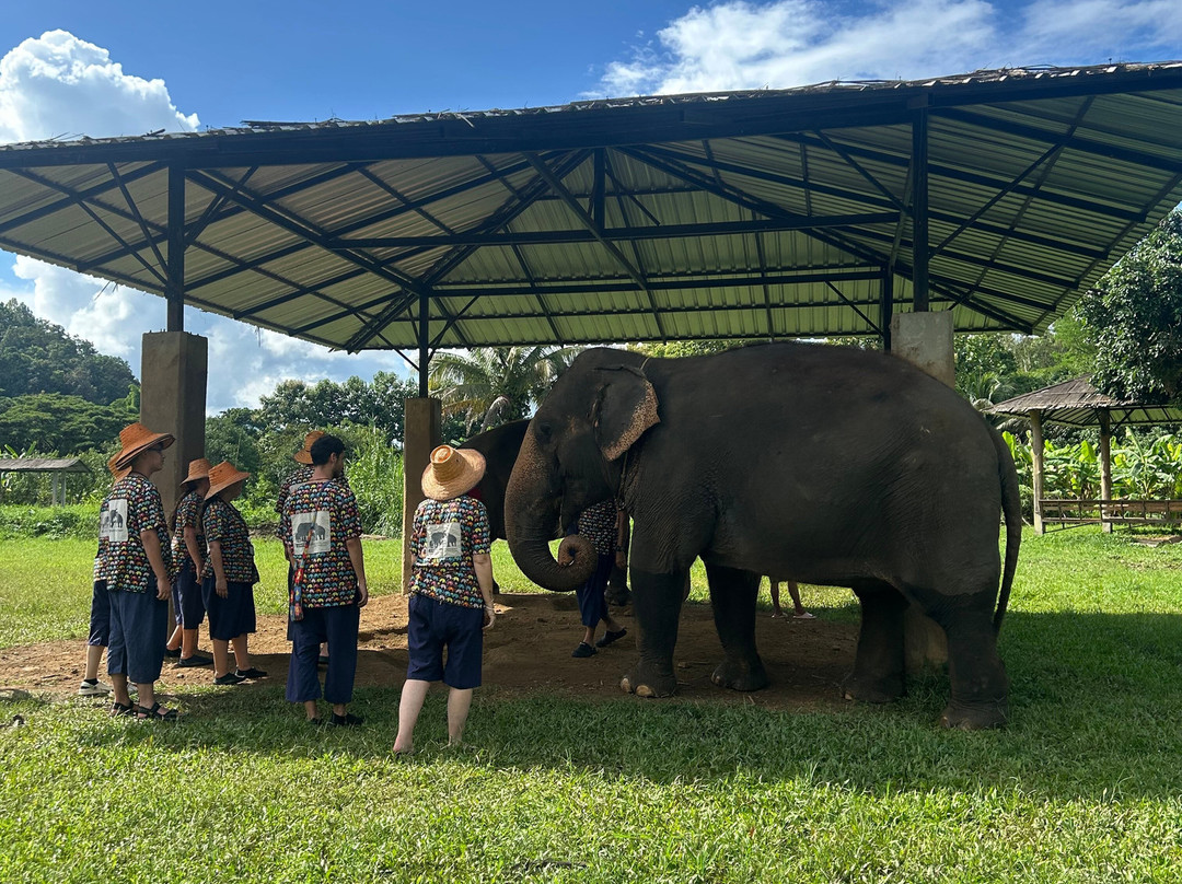 Kanta Elephant Sanctuary-清迈必去景点