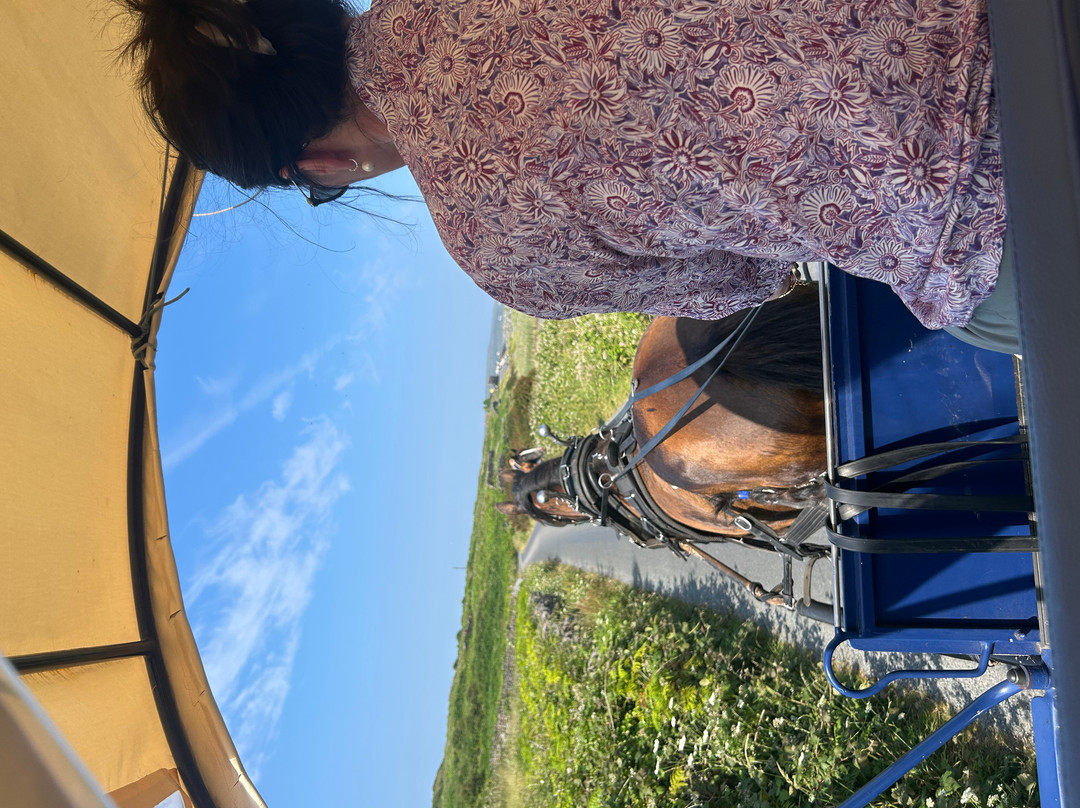 Thomas Faherty Tours-Inishmore必去景点