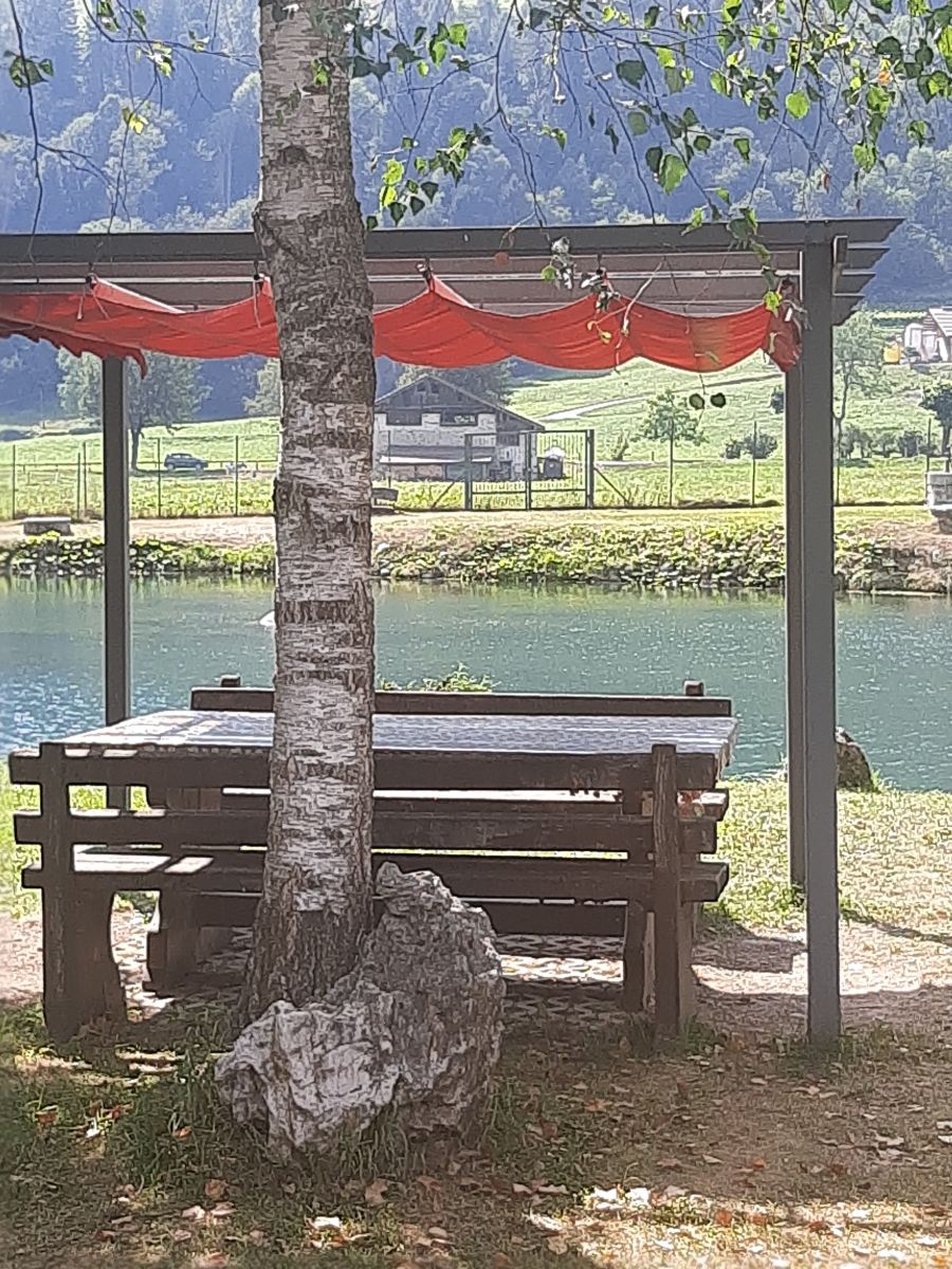 雷吉纳爱莲娜酒店-旅行者