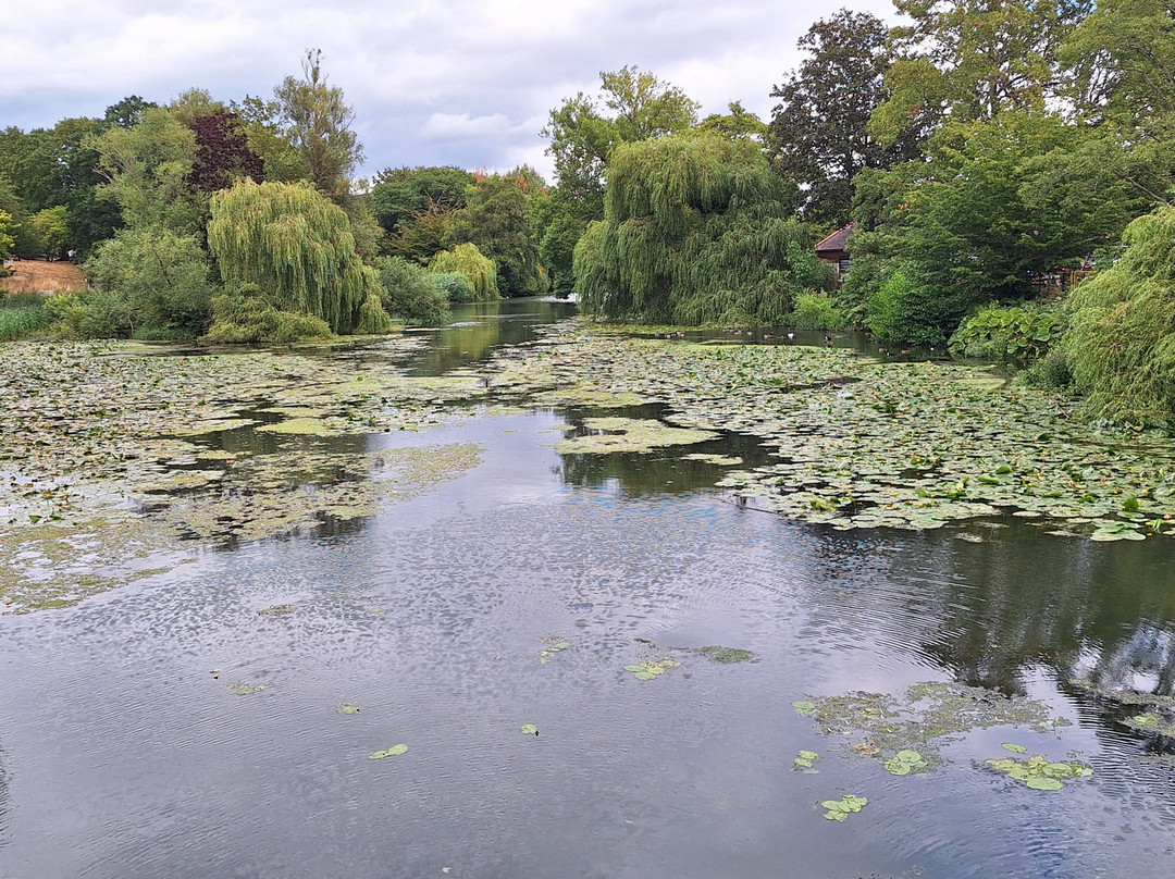Jephson Gardens-皇家利明顿温泉必去景点