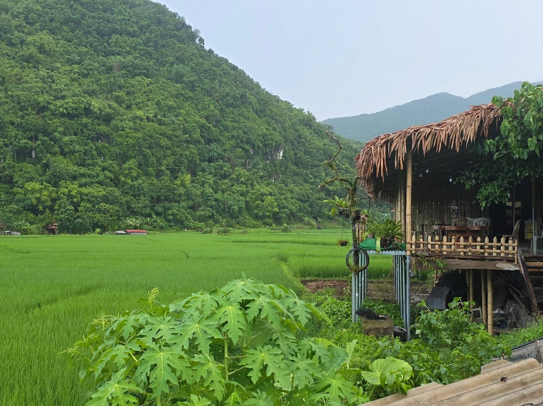 Pu Luong Nature Reserve-Co Lung必去景点