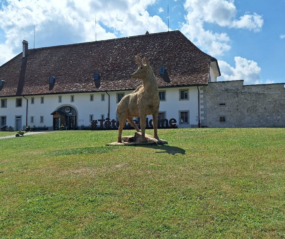 Maison de la Tête de Moine-Bellelay必去景点