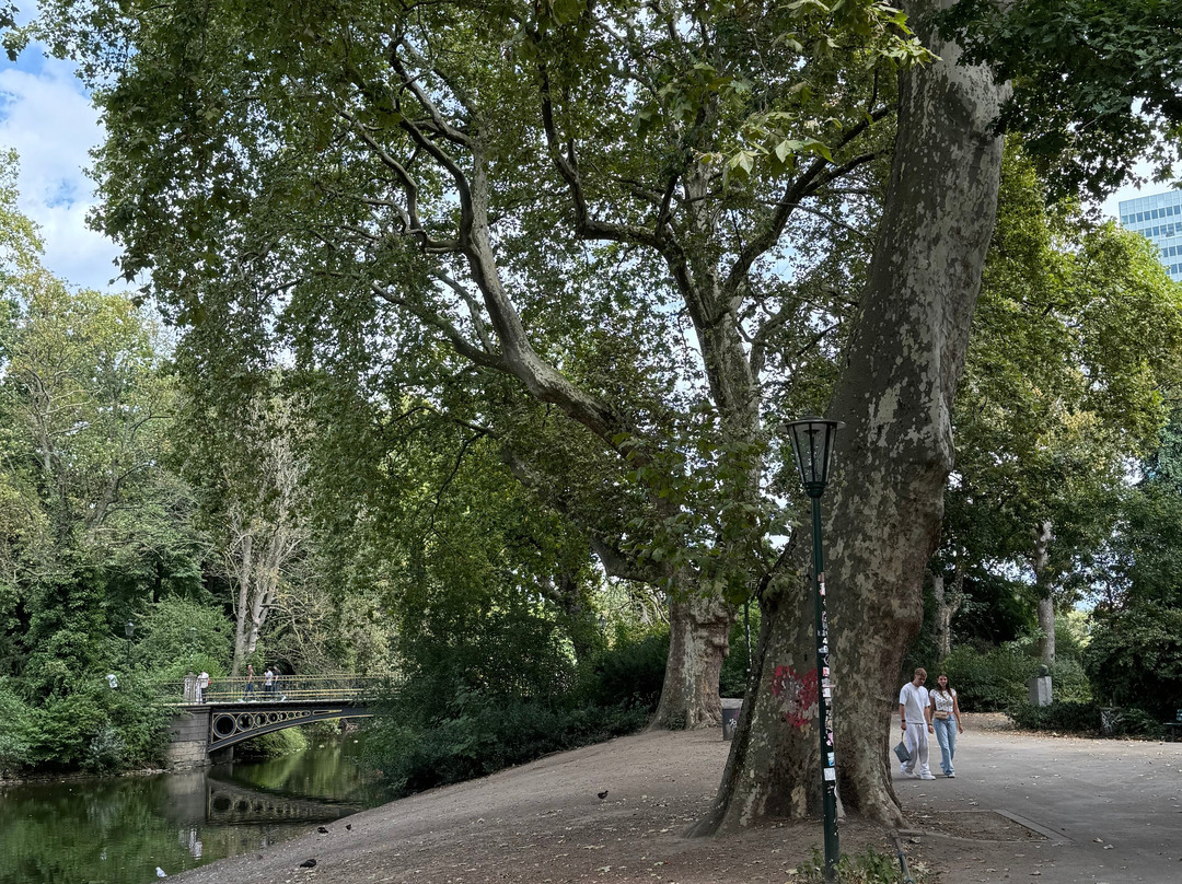 Hofgarten-杜塞尔多夫必去景点