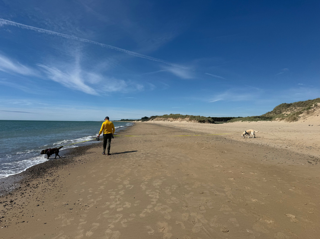 Ballinoulart Beach-韦克斯福德必去景点