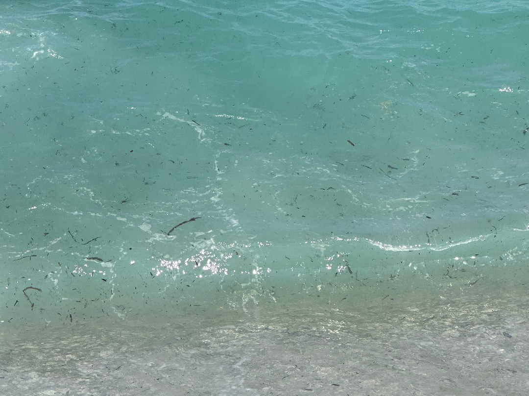Mirror (Plazhi Pasqyra) Beach-沙兰德必去景点