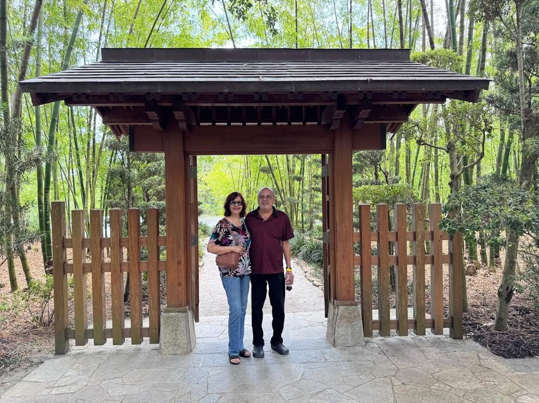 Morikami Museum & Japanese Gardens-德拉海滩必去景点