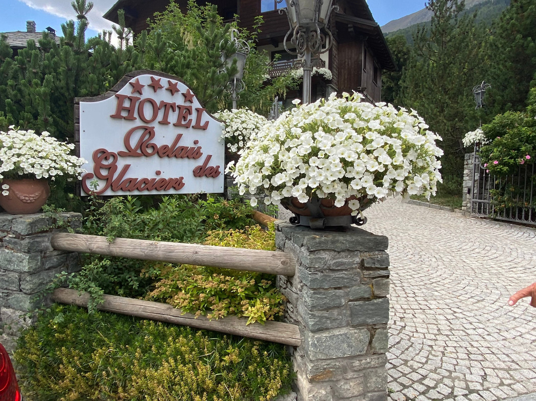 Hotel Relais des Glaciers - Adults Only主图