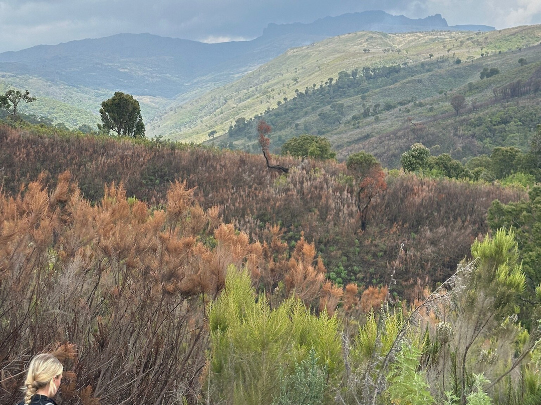 Mount Elgon Trekkers-Kapchorwa必去景点