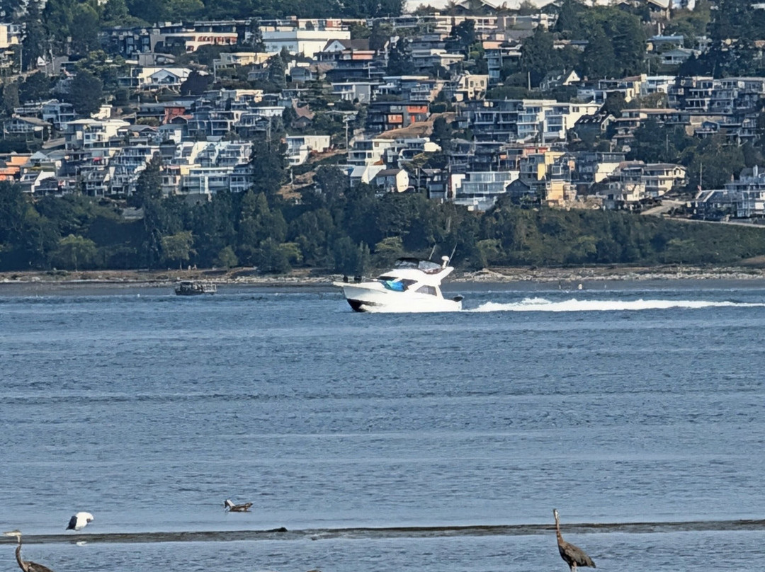 Semiahmoo Park-布莱恩必去景点