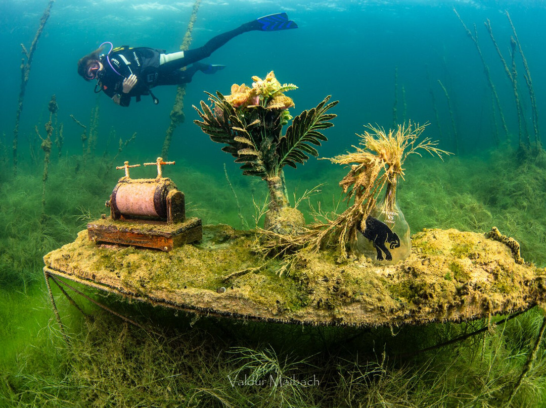 Rummu Diving-塔林必去景点