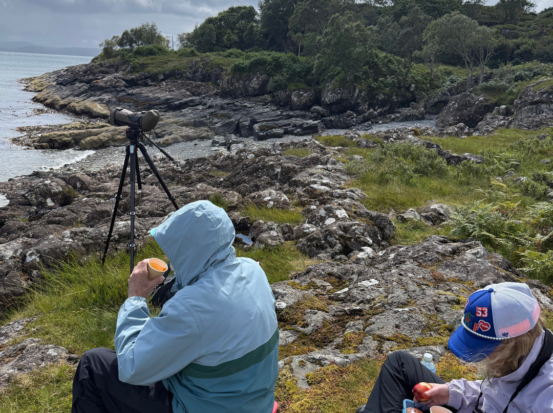 Mull Magic Wildlife - Day Tours-Tobermory必去景点