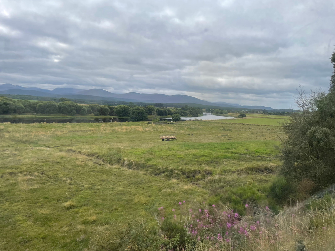Strathspey Railway-阿维莫尔必去景点