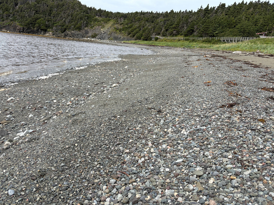 Bottle Cove Beach-Lark Harbour必去景点