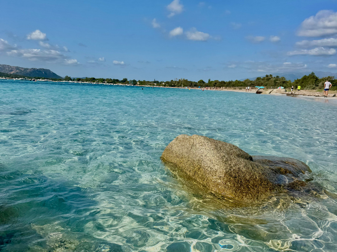 Plage Saint-Cyprien-维琪奥港必去景点