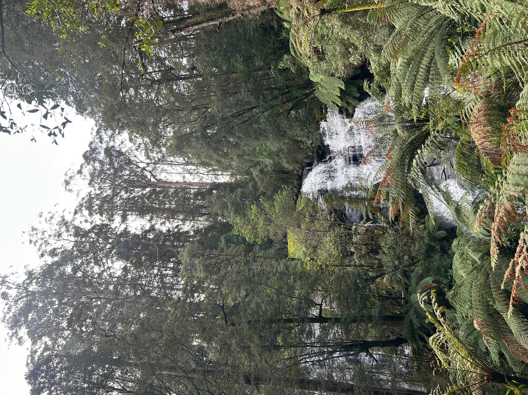 Triplet Falls-Beech Forest必去景点
