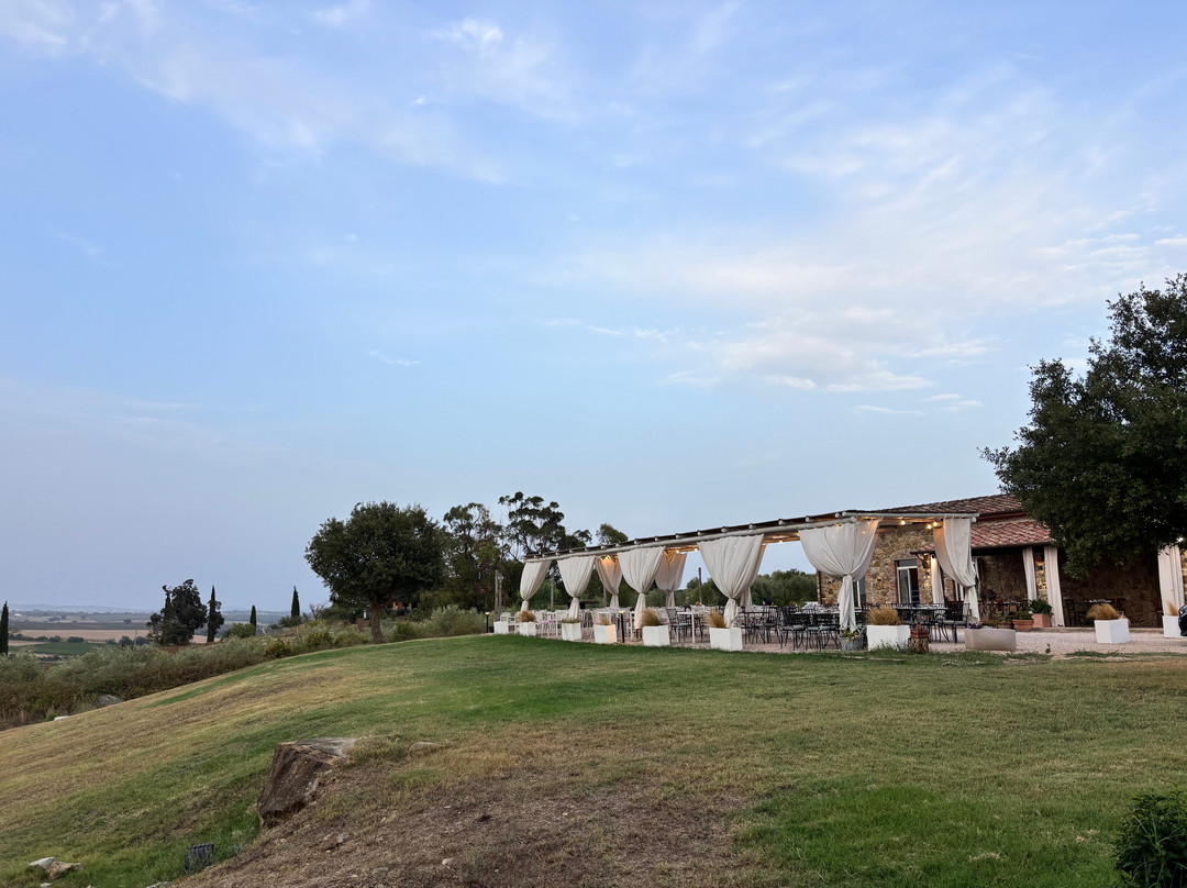 Tenuta Del Sasso
