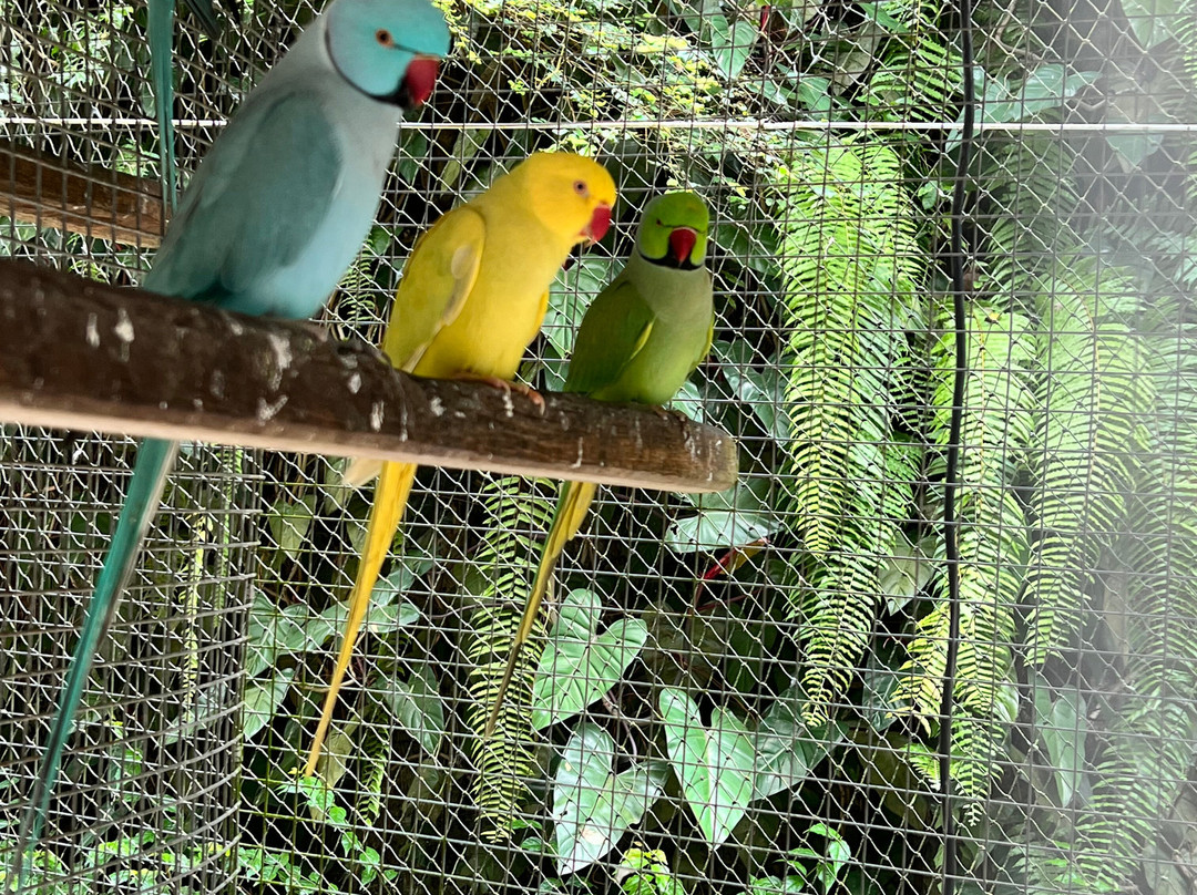 Harrison's Cave Eco-Adventure Park-Saint Thomas Parish必去景点