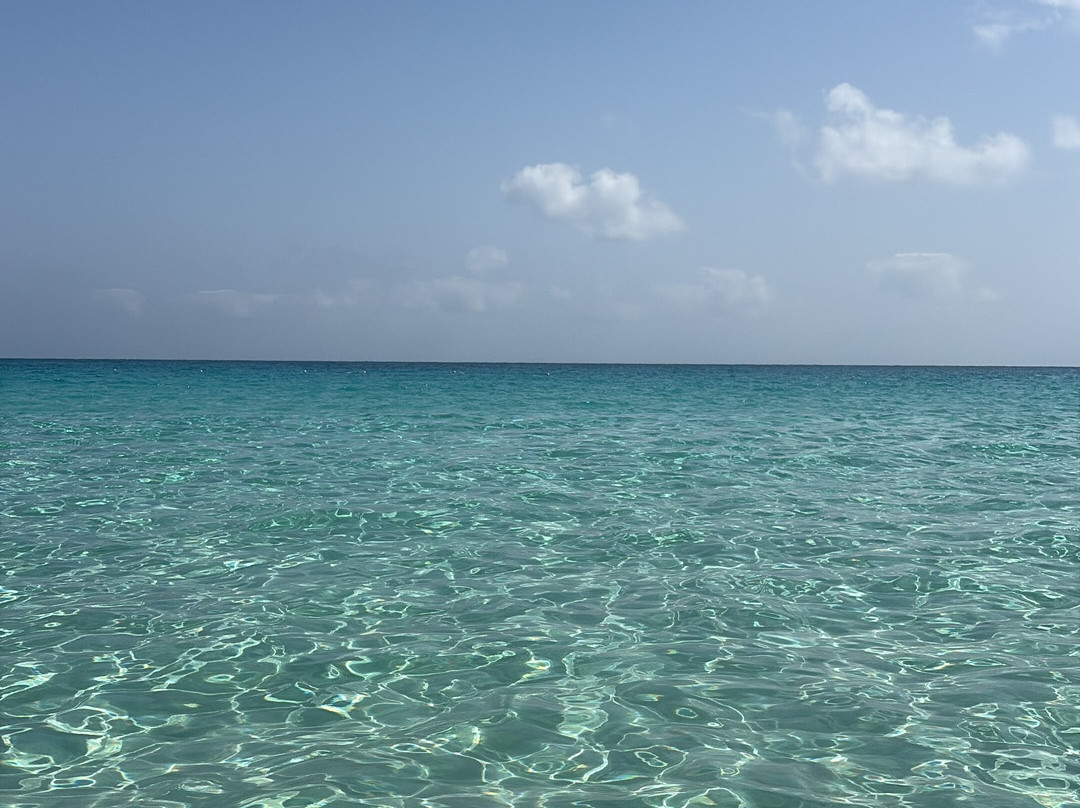 Almaza Bay-Mersa Matruh必去景点
