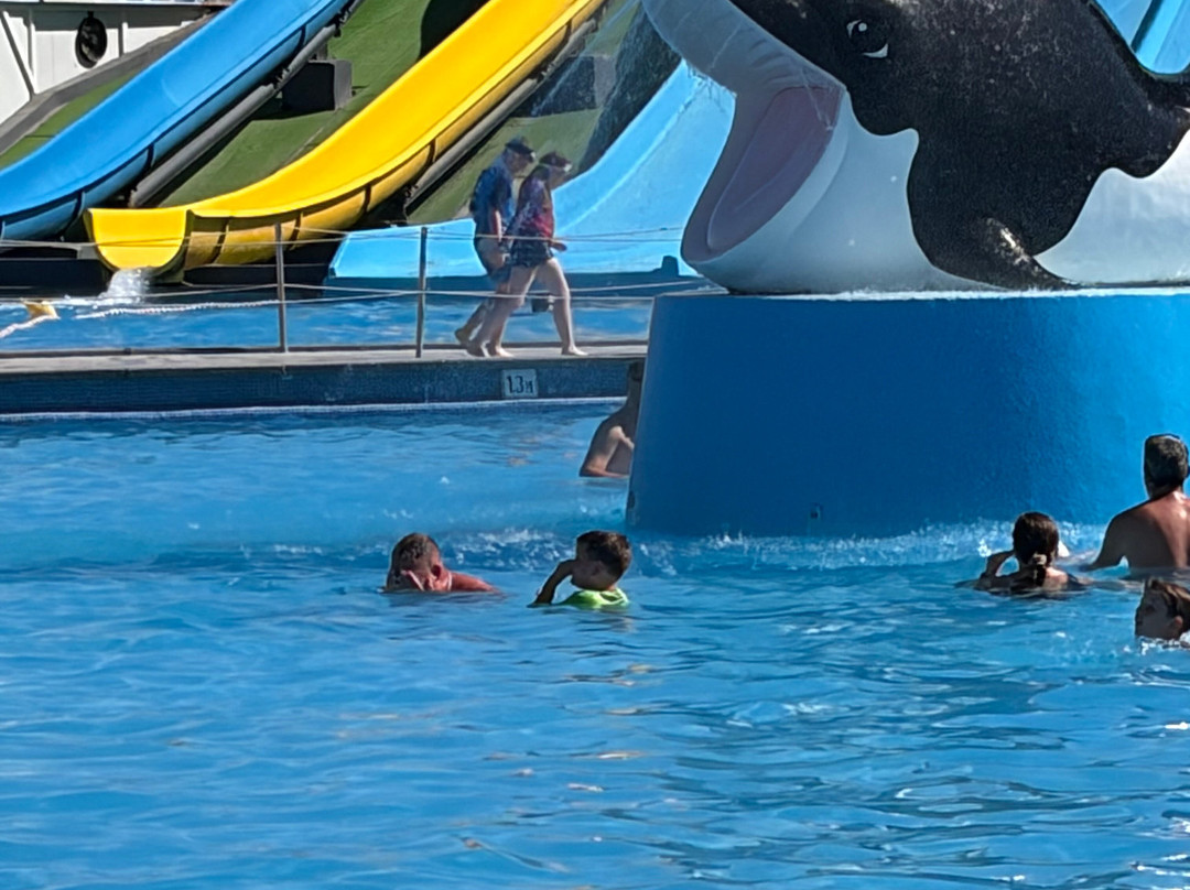 Hidropark Alcudia-阿尔库迪亚港必去景点