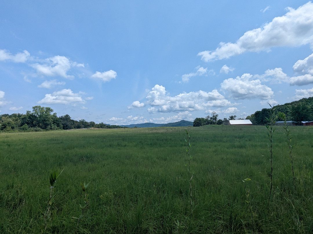 Sgt. Alvin C. York State Historic Park-Pall Mall必去景点