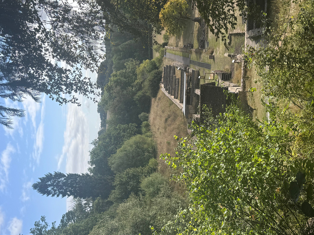 Chedworth Roman Villa-Yanworth必去景点