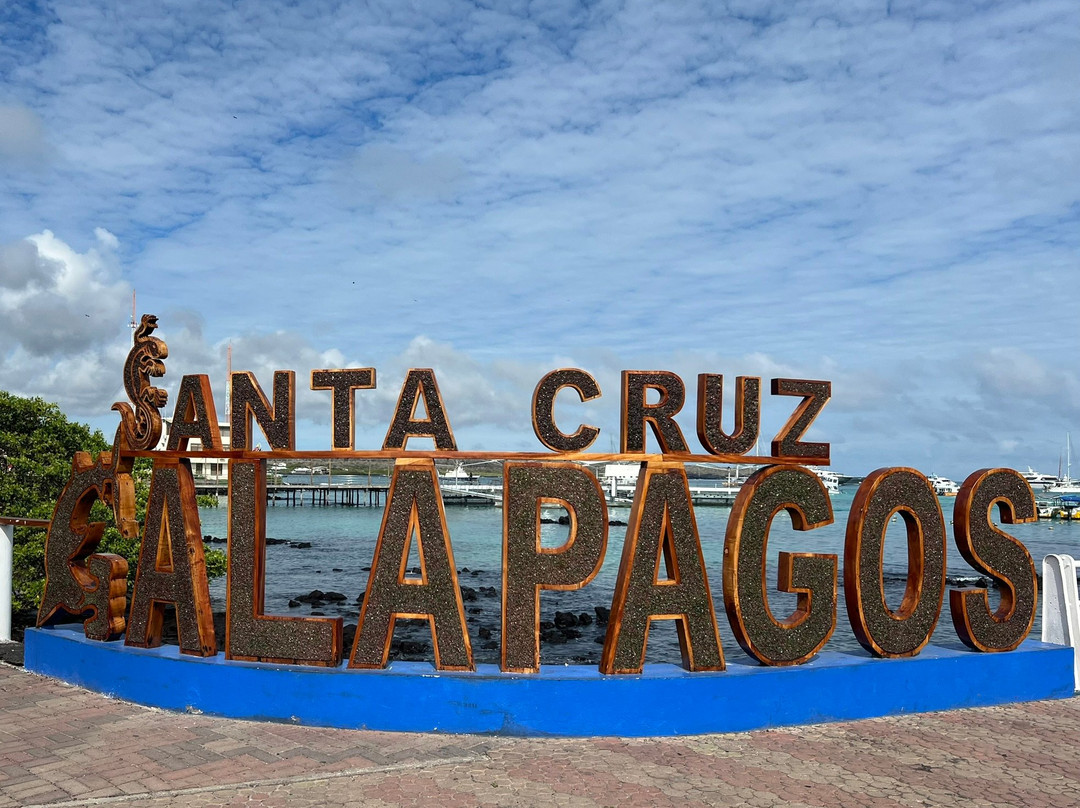 Malecon de Puerto Ayora-阿约拉港必去景点