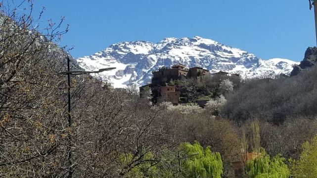 Amazigh Family Riad-旅行者