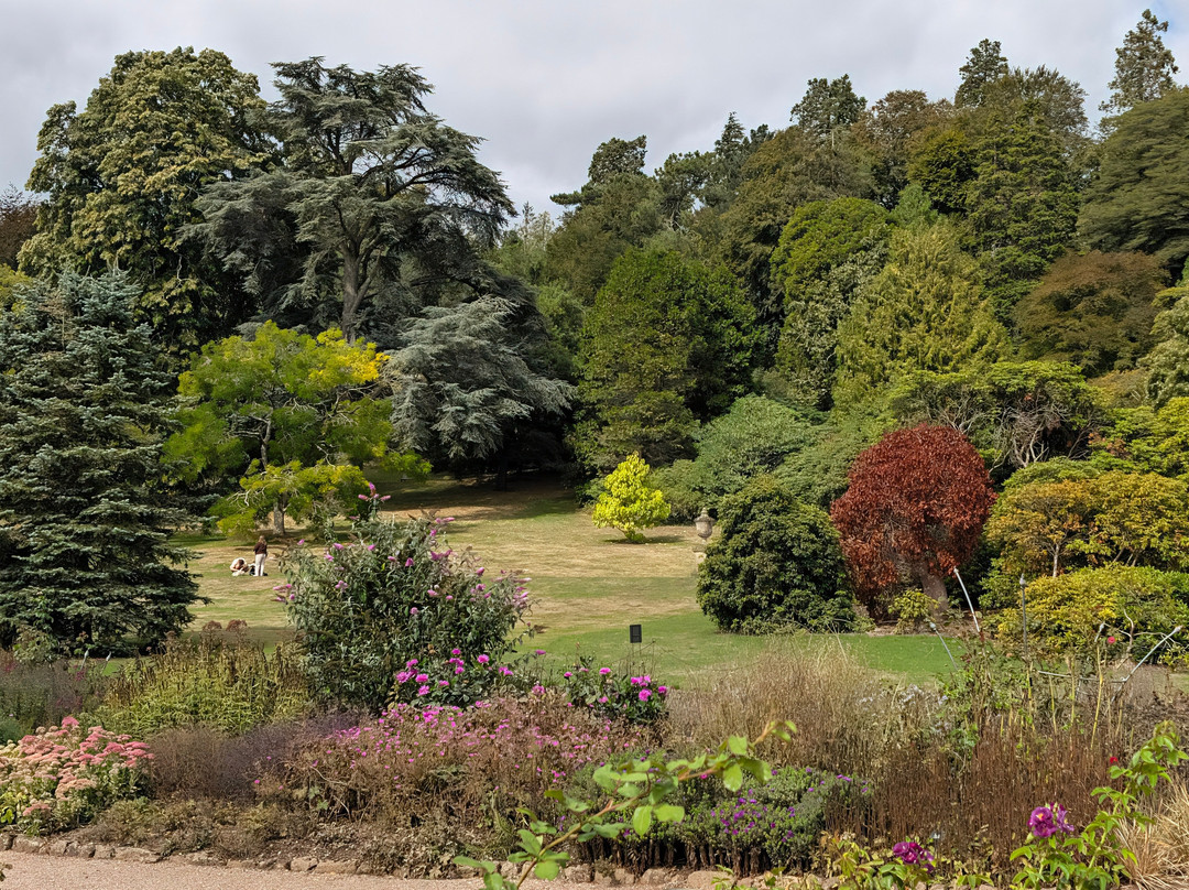Killerton-Broadclyst必去景点