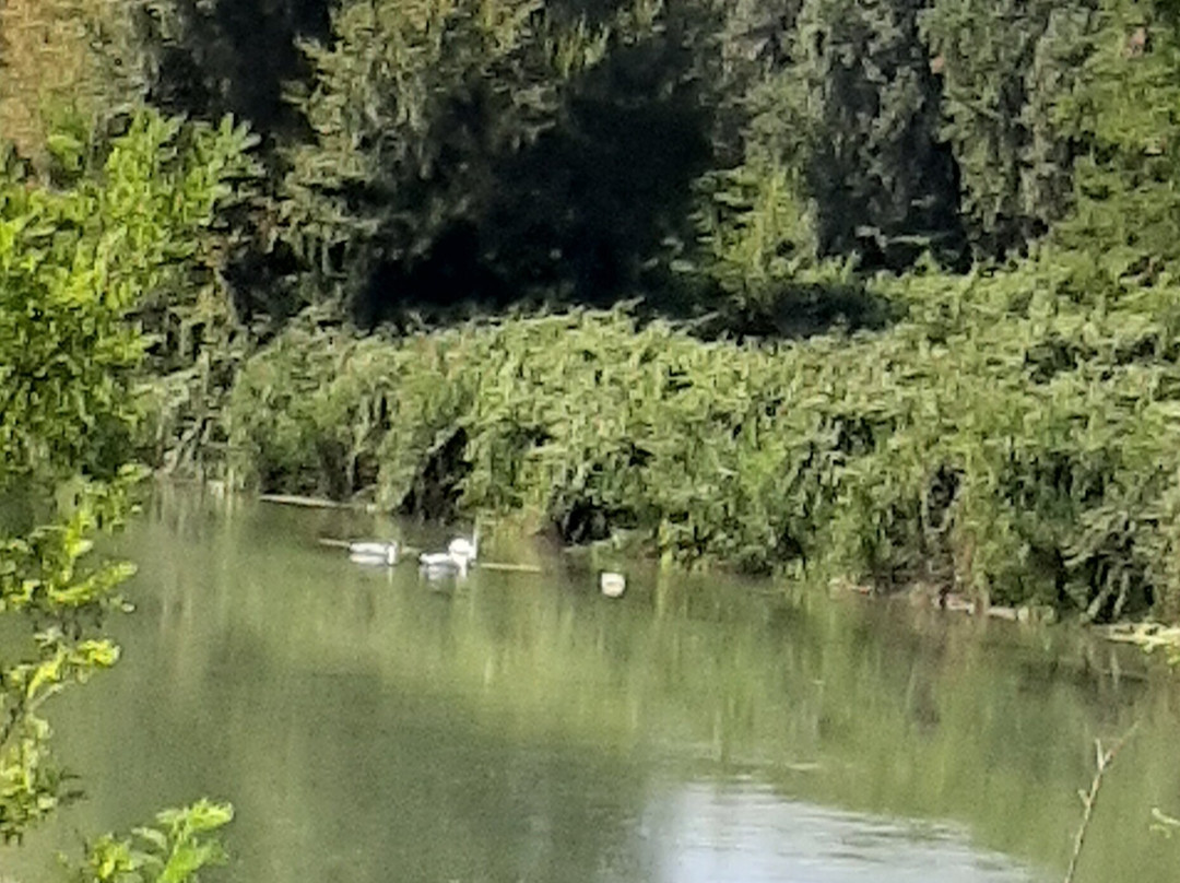 Pista Ciclabile del Fiume Mincio-佩斯基耶拉德尔加尔达必去景点