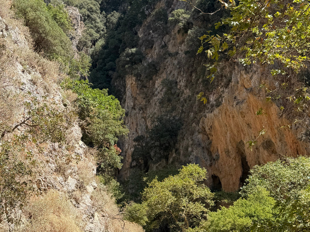 Deliana Gorge-Deliana必去景点