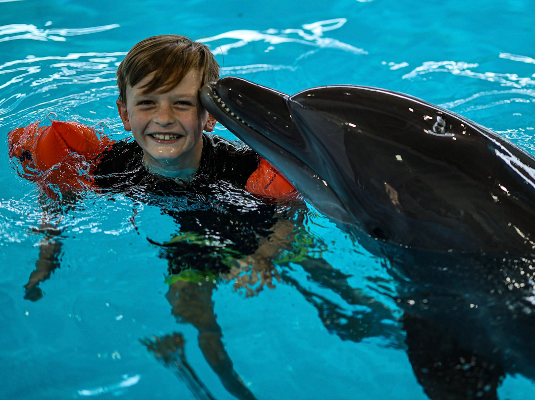 Pattaya Dolphinarium-芭堤雅必去景点