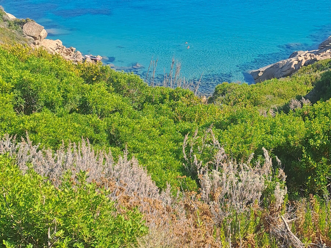Spiaggia delle Cannelle-Isola del Giglio必去景点
