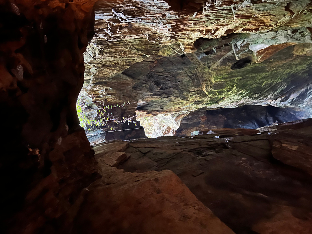 Consolidated Gold Mine-达洛尼加必去景点