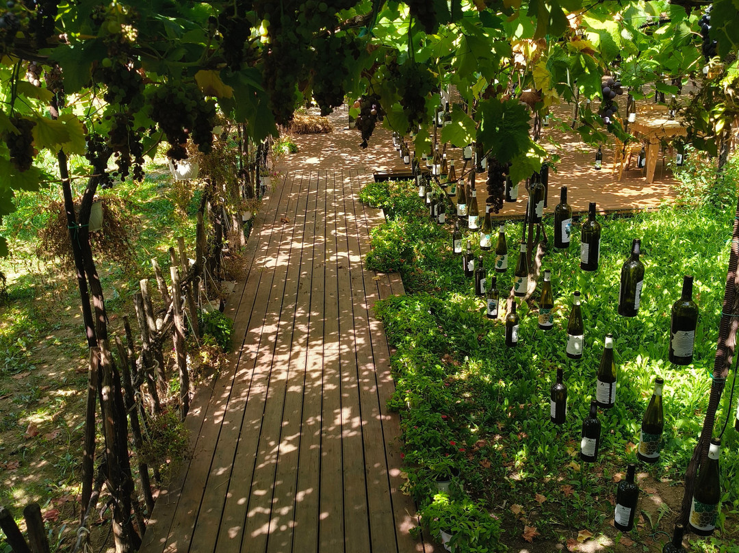 Alpeta Agrotourism & Winery-培拉特必去景点