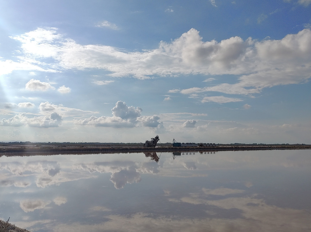 Parco della Salina di Cervia-切尔维亚必去景点