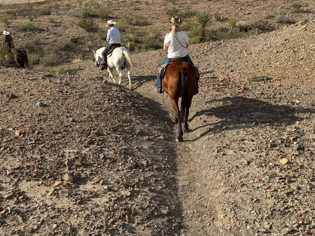 Big Bend & Lajitas Stables-Terlingua必去景点