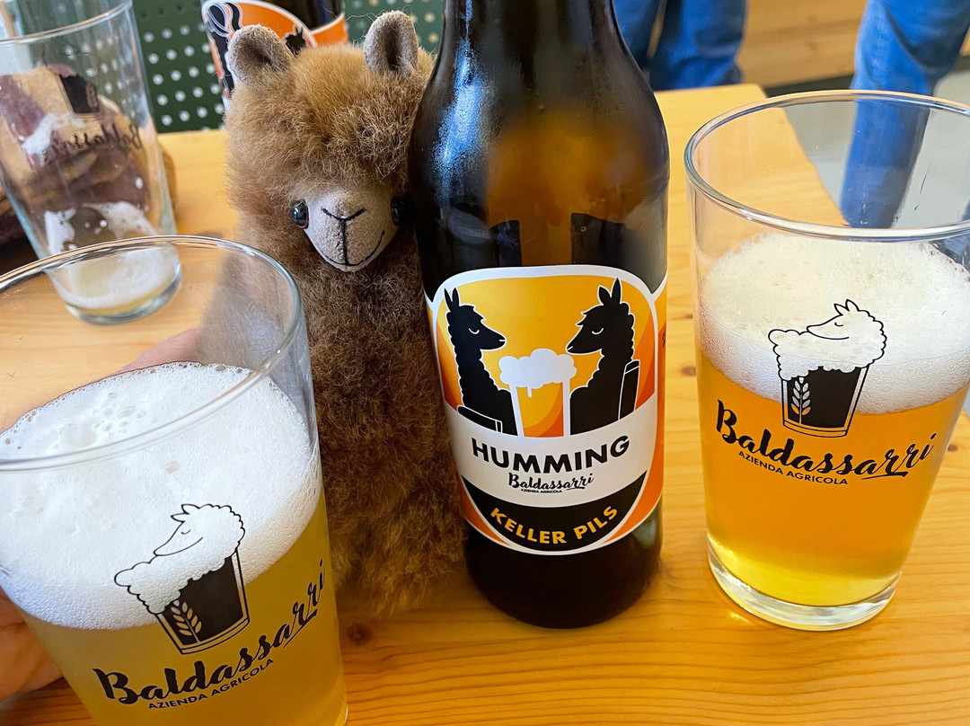 Il Giardino Dell'alpaca-Potenza Picena必去景点