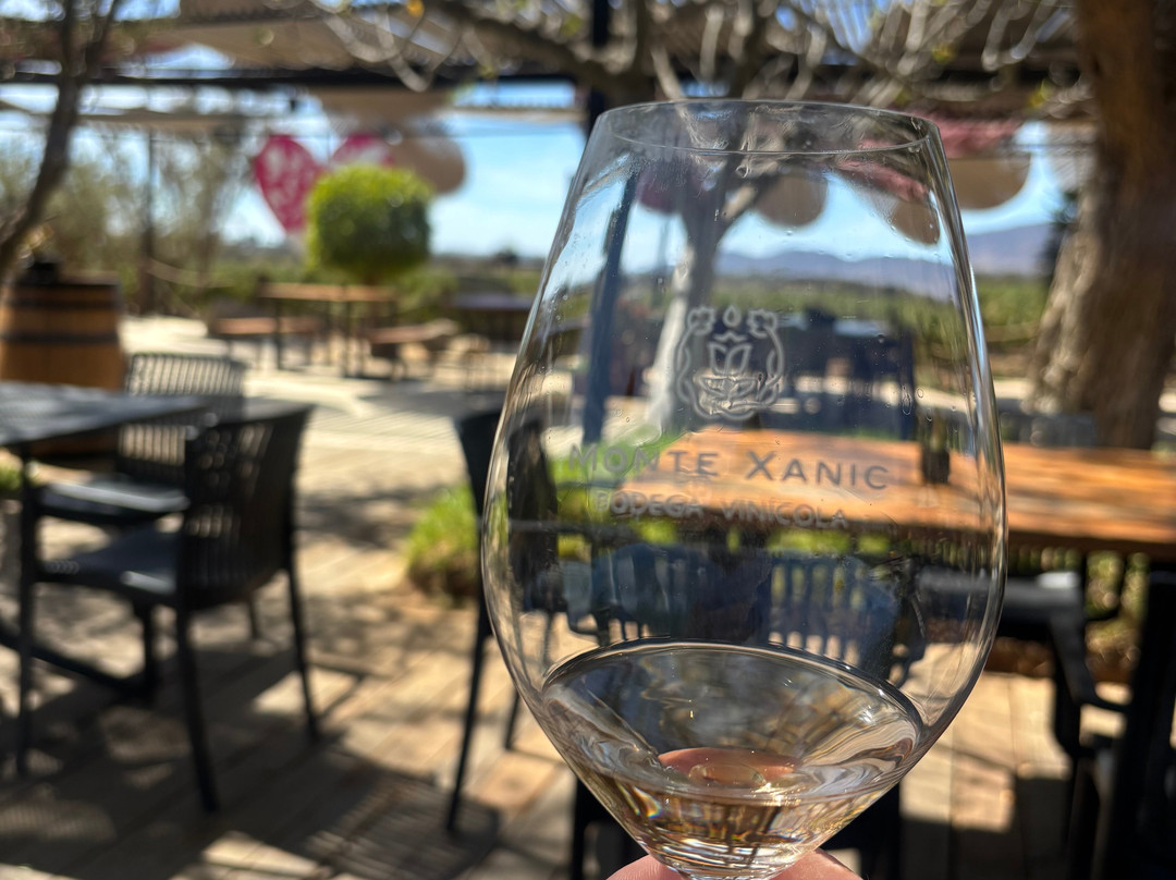 Monte Xanic Bodega Vinícola-Valle de Guadalupe必去景点