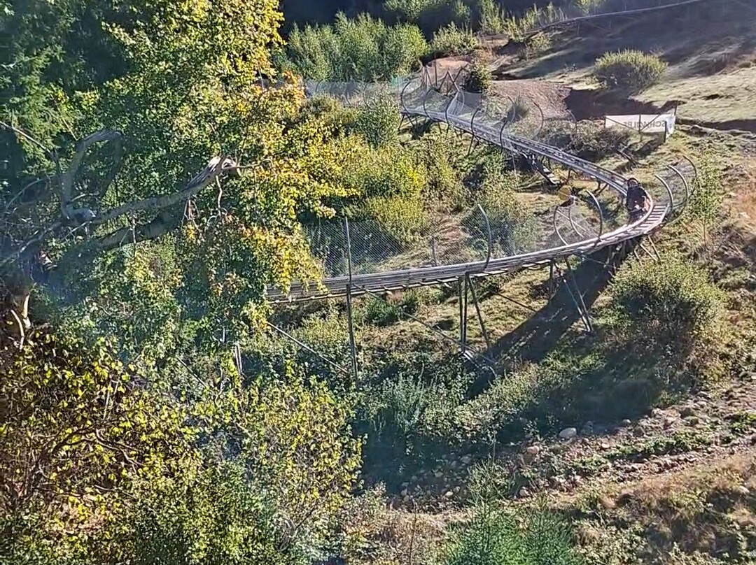 Hasenhorn Coaster Todtnau-托特瑙必去景点