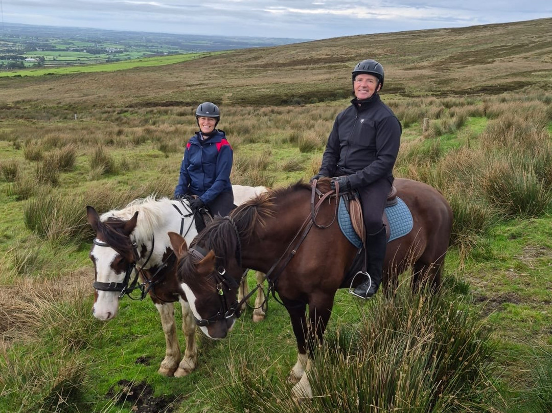 Bespoke Equestrian Ireland-都柏林必去景点