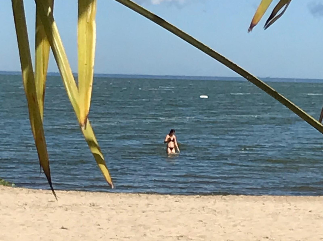 Bellini Beach Ueckermünde, Ortsteil Bellin-Ueckermunde必去景点