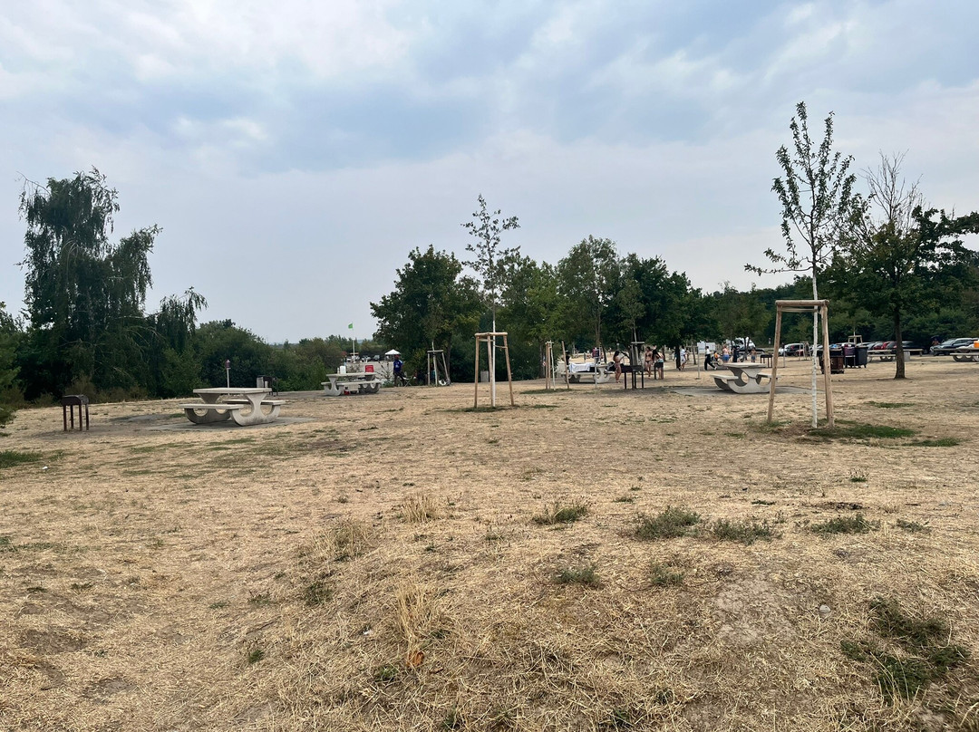 Lac de Reiningue