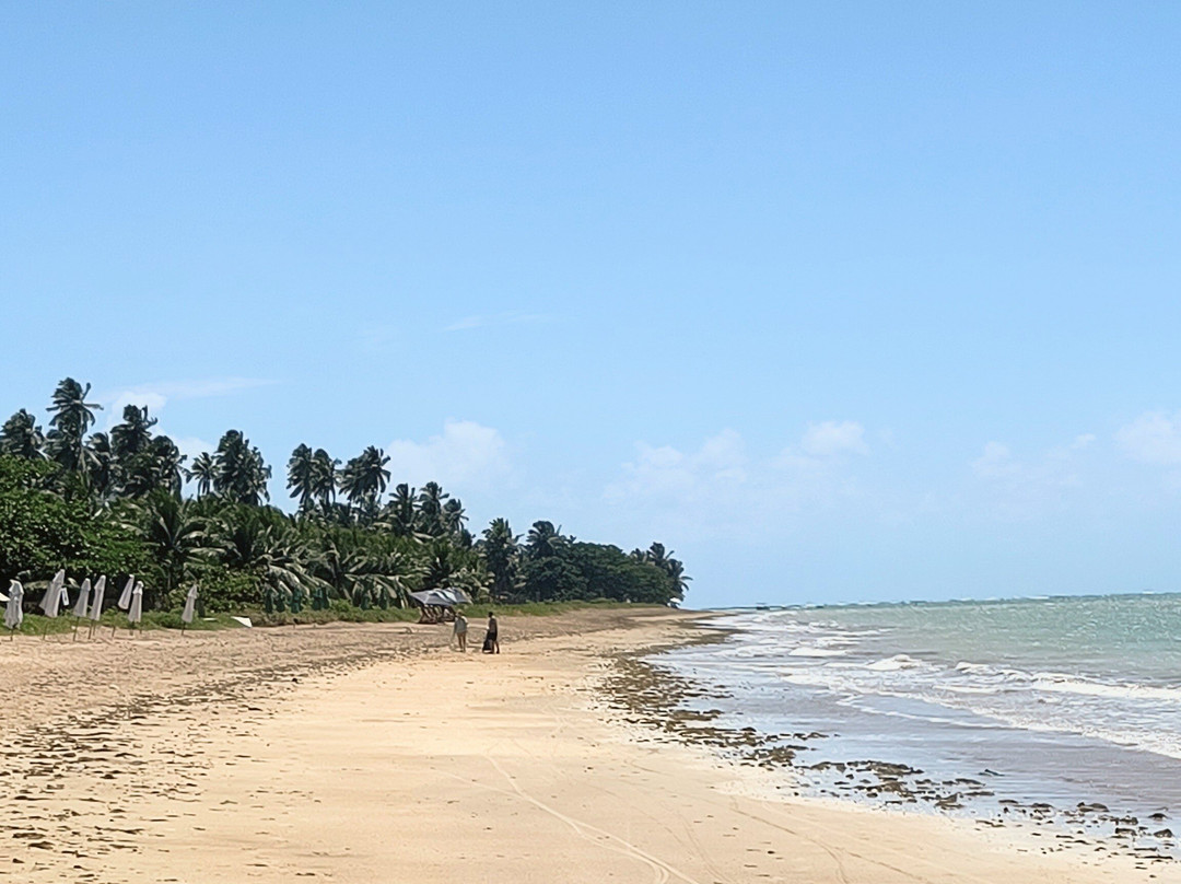 Praia de São Miguel dos Milagres-Sao Miguel dos Milagres必去景点